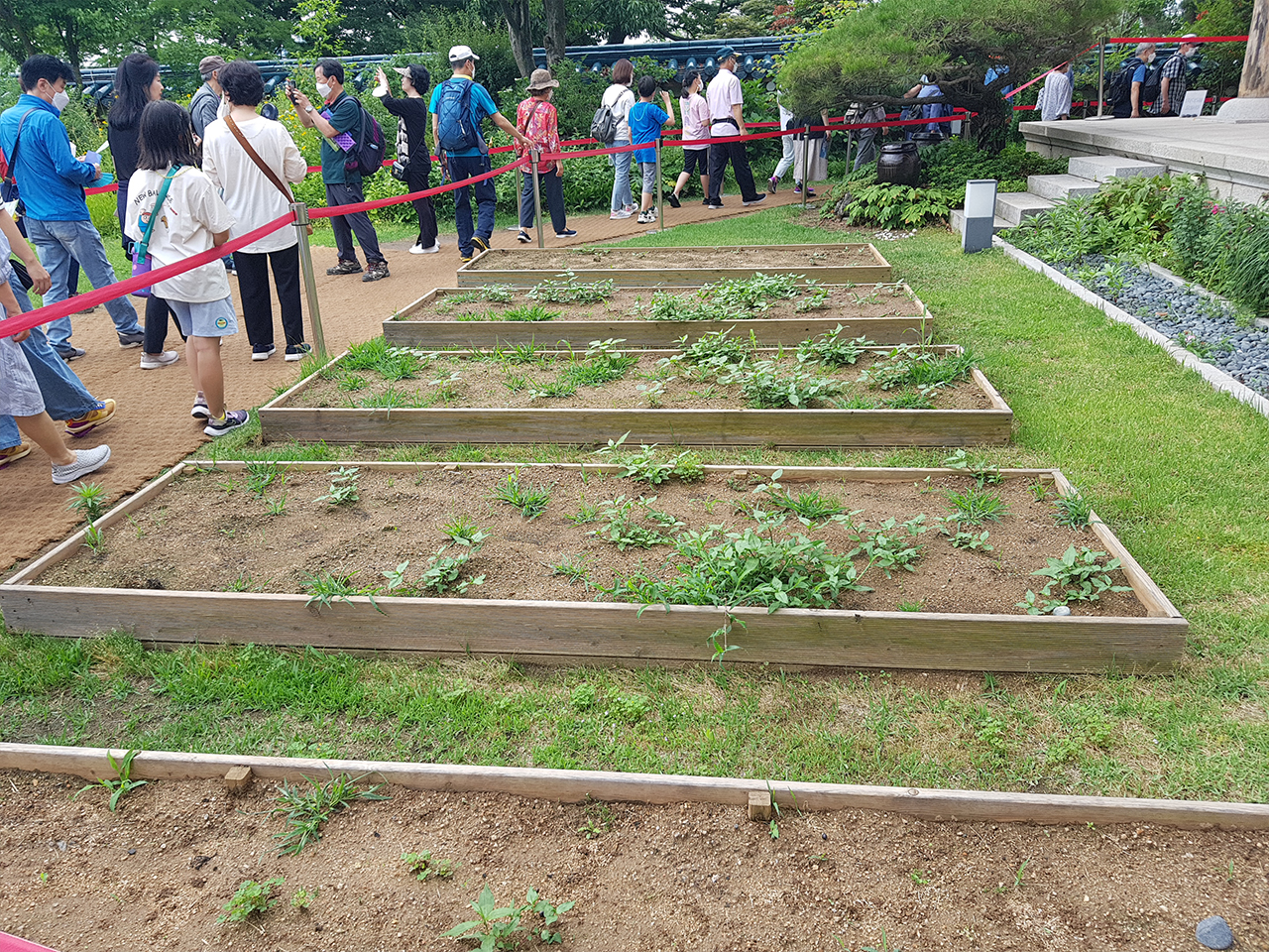 텃밭의 정직성