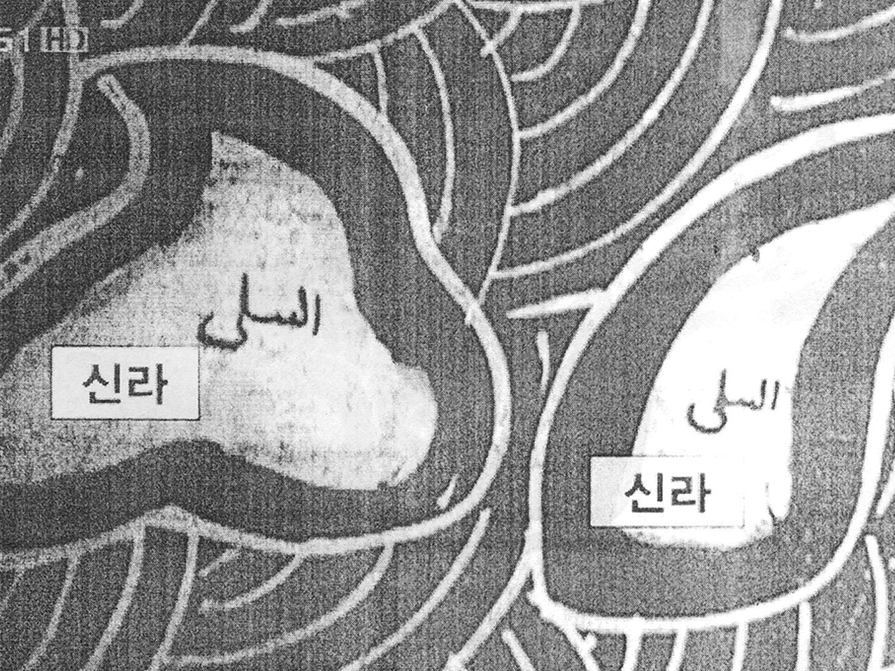 두 개의 신라 지도